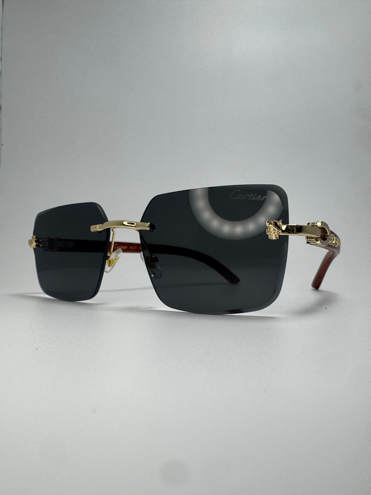 Gafas Panther