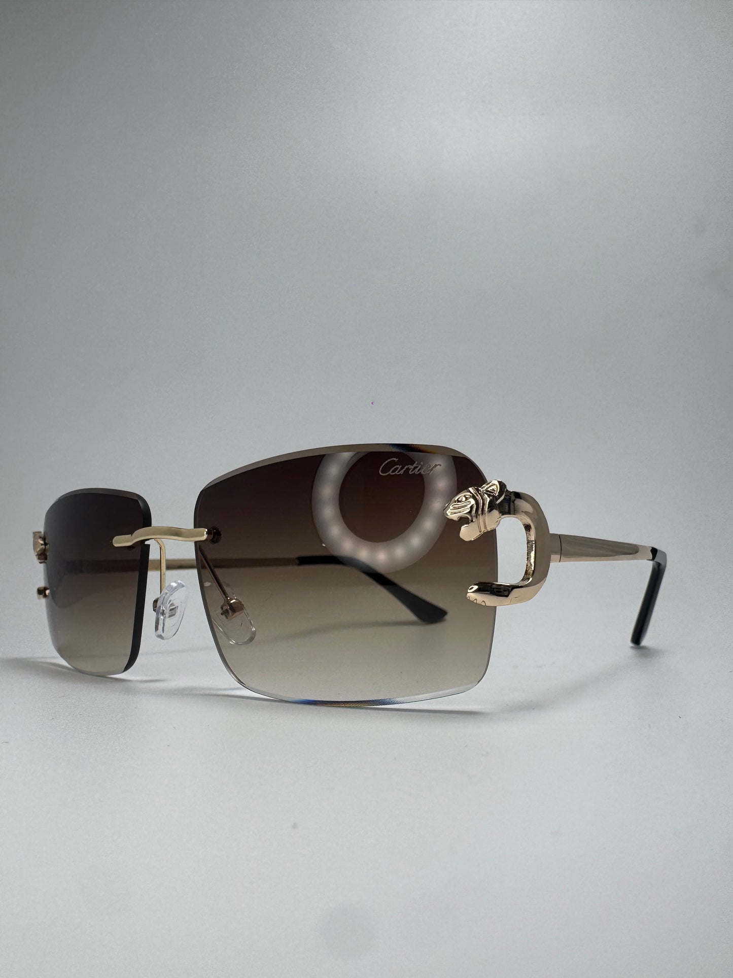 Gafas tipo C Panther