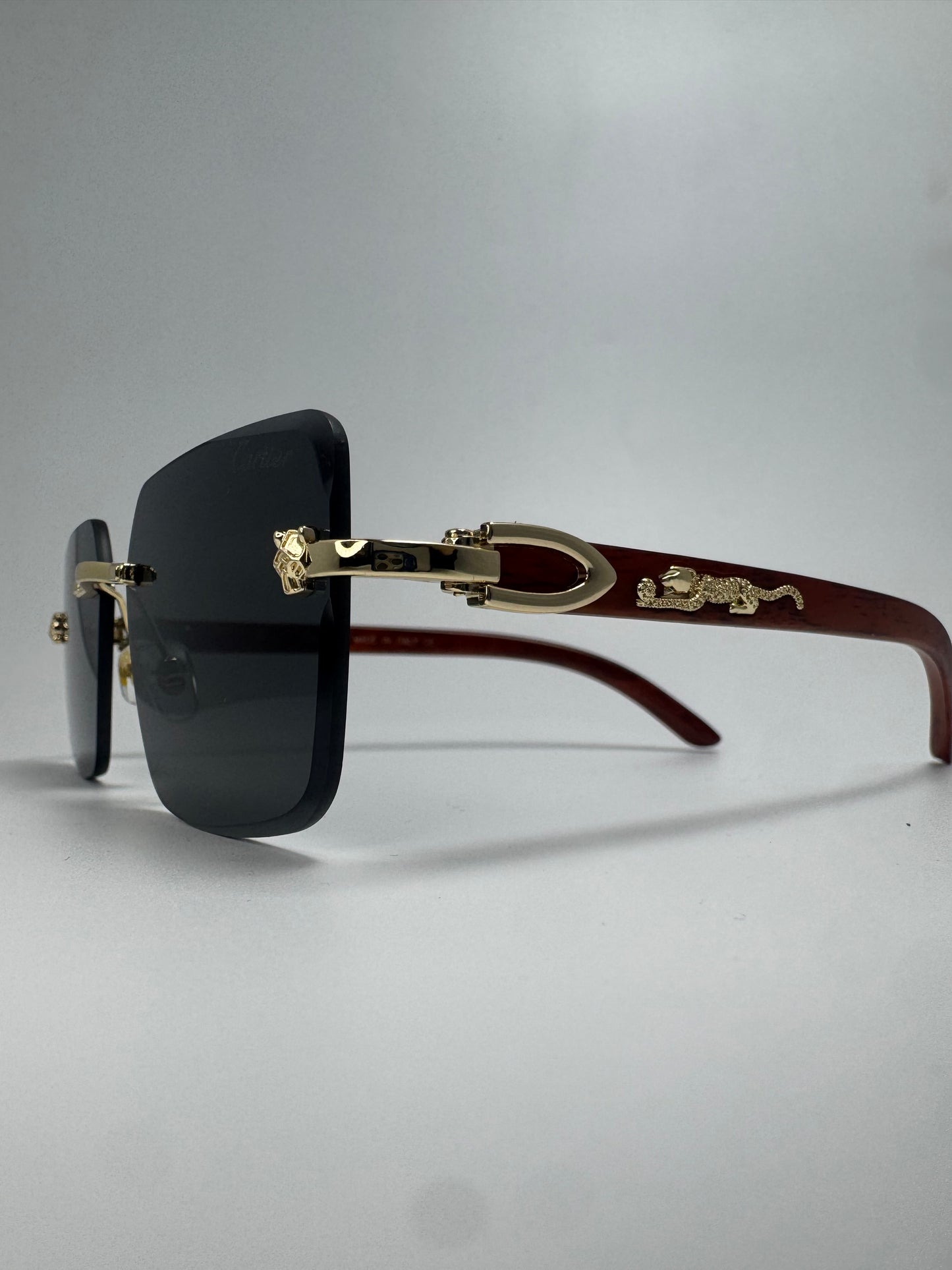 Gafas Panther