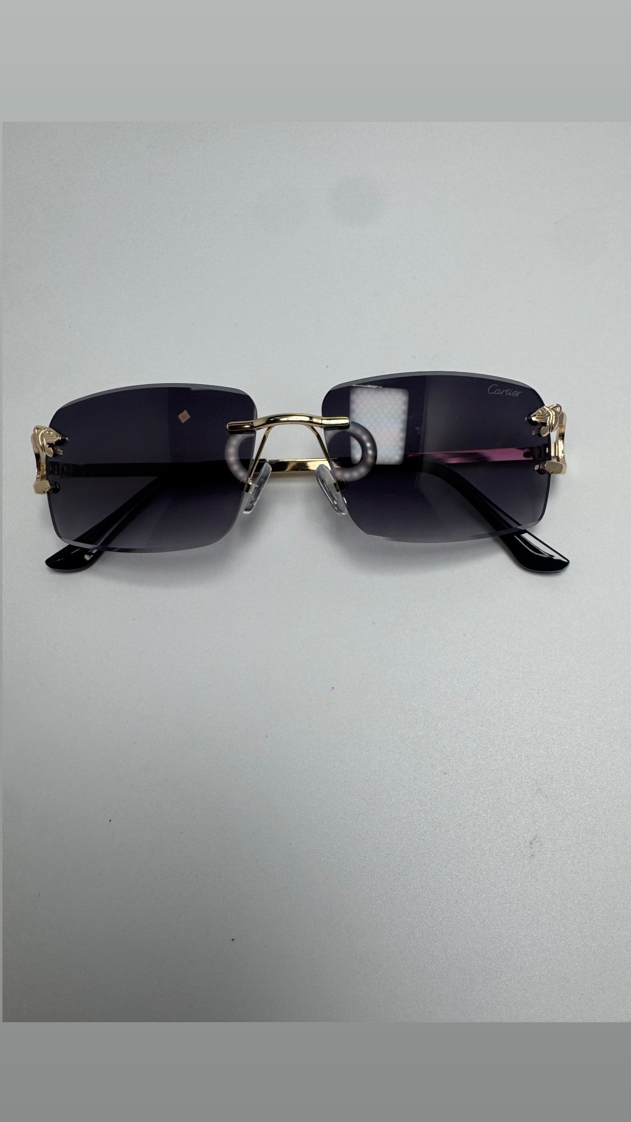 Gafas tipo C Panther