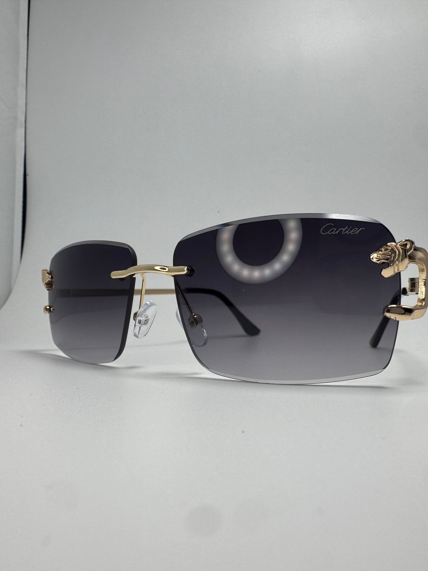 Gafas tipo C Panther