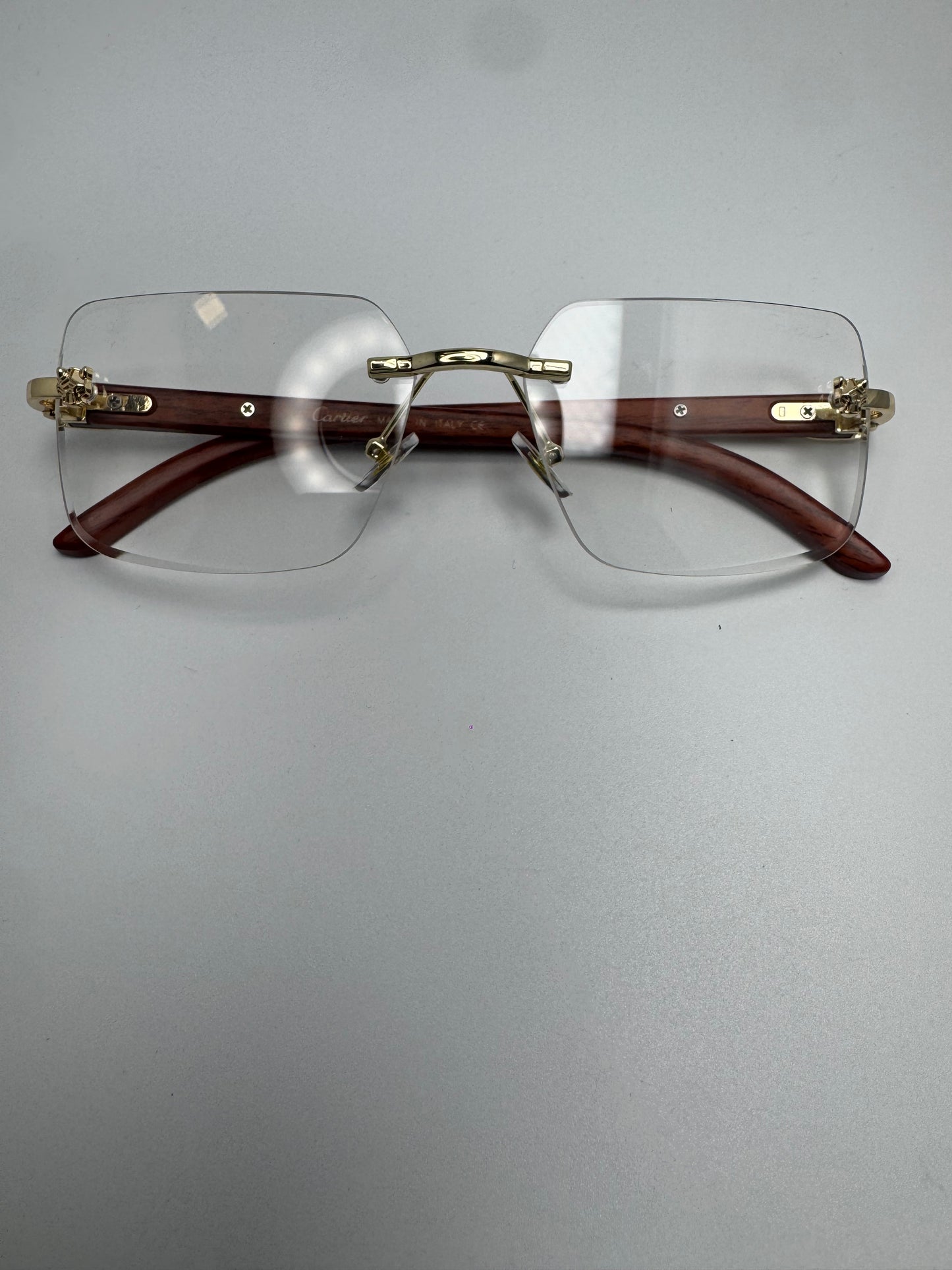 Gafas Panther
