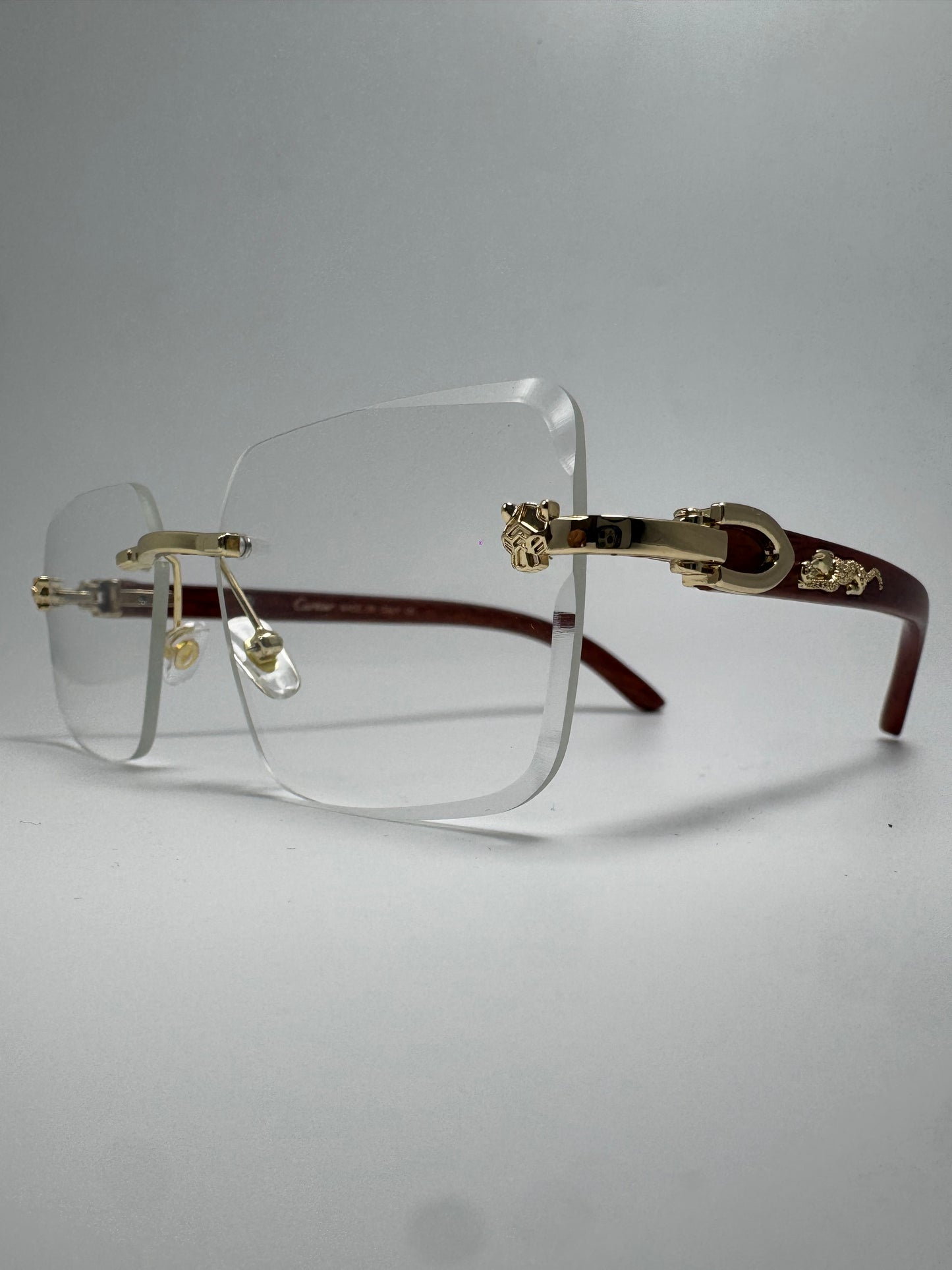 Gafas Panther