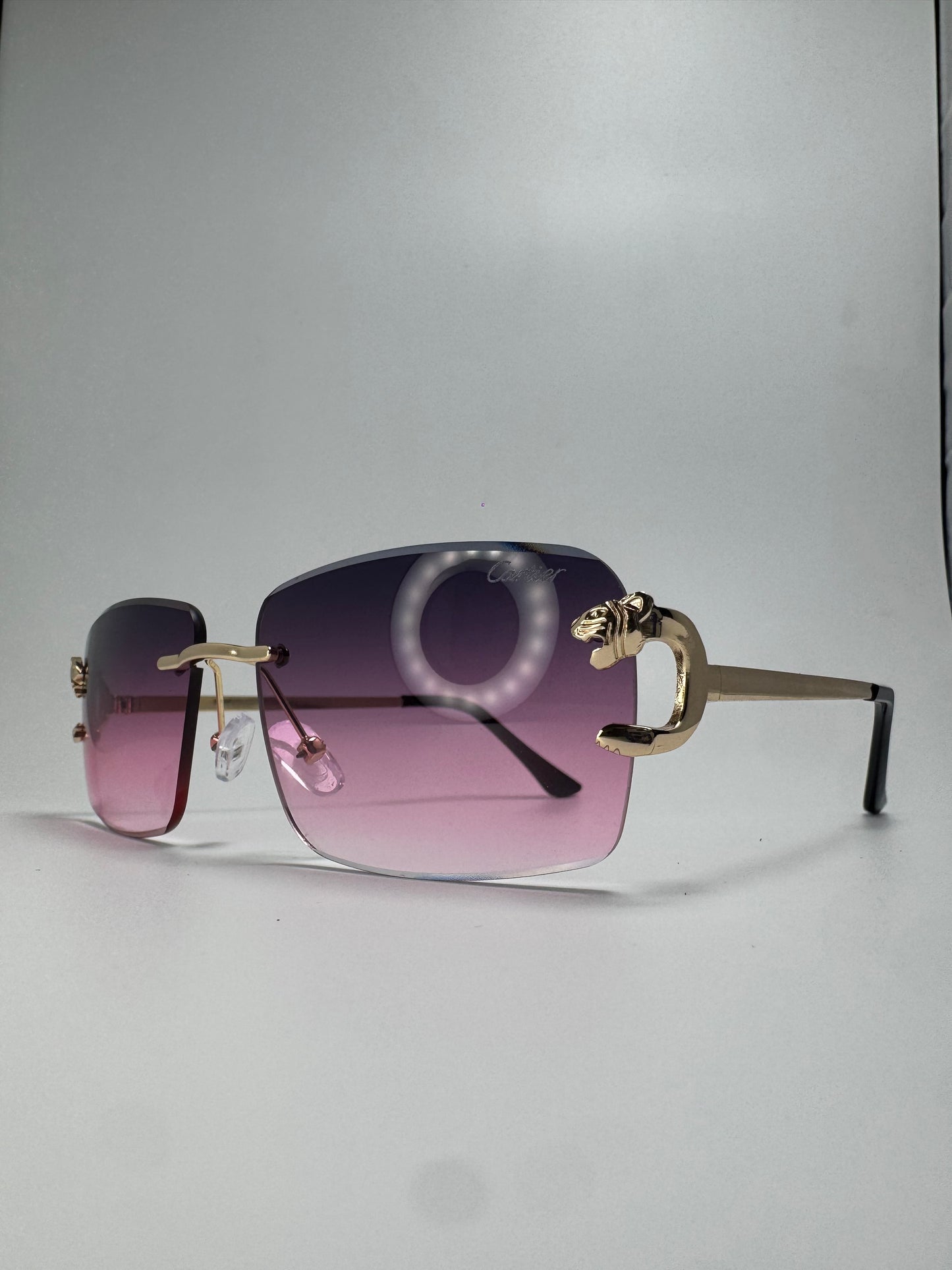 Gafas tipo C Panther